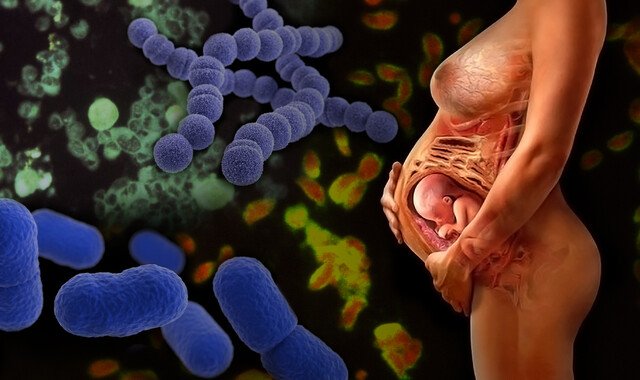 Infections in Pregnancy