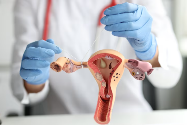 Laparoscopic Tubal Recanalization