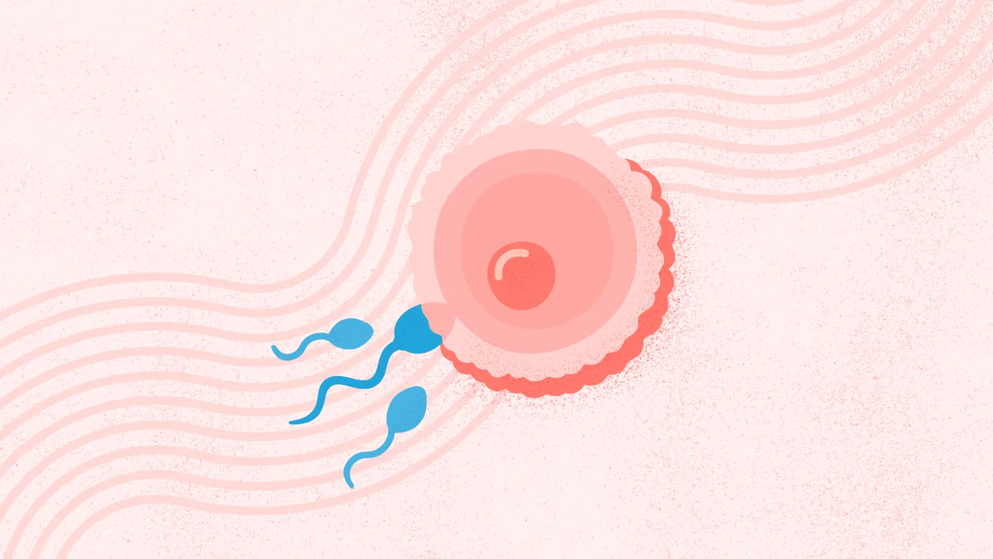 Fertility Doctor In Nagpur